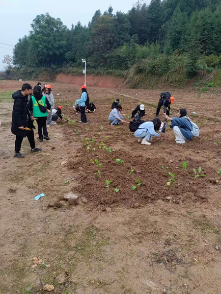 邵陽市華龍中學(xué),邵陽中學(xué)教育,高中教育,師資雄厚,名優(yōu)教師